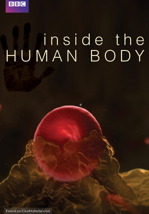inside_the_human_body